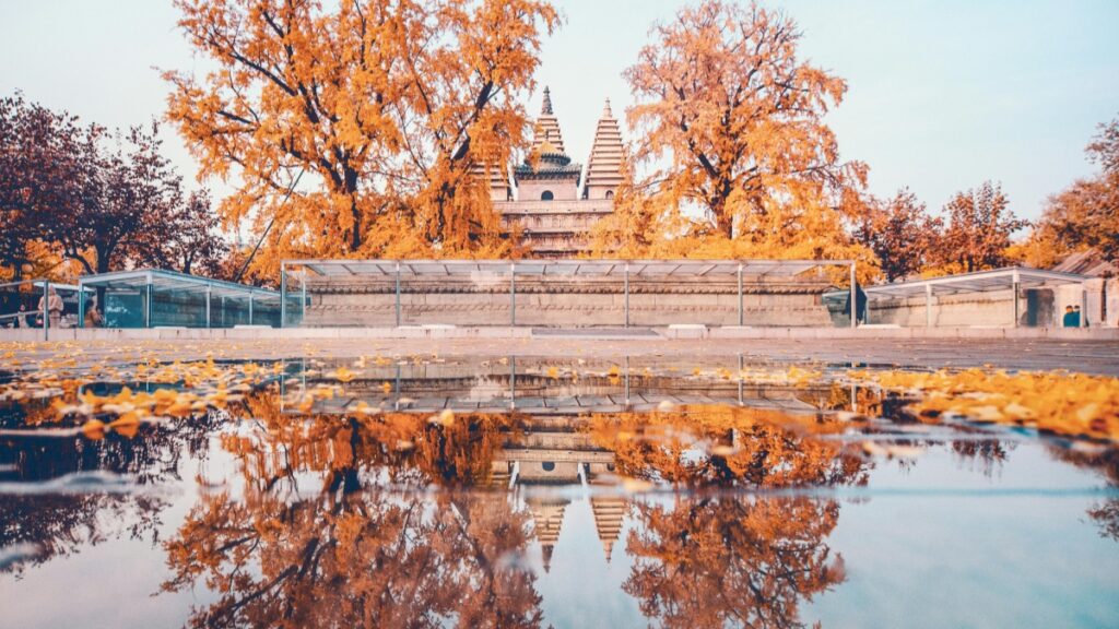Kyrgyzstan Instagram блогерлери 2025 жылы Belarus жарнамалары менен кантип иштешет