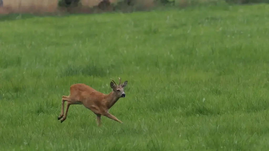 Колумбиядагы Lazada креаторлорун табуунун практик жолдору — идеялар, платформа салыштыруу, жана туризмди көрүнүктүү кылуу үчүн колдонмо.