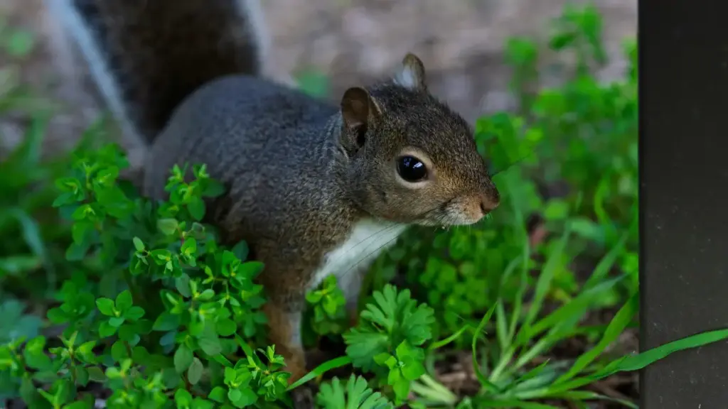 Kyrgyz креаторлоруна багытталган практикалык колдонмо: Bulgariaдагы бренддерге Threads аркылуу кайрылуу, сүйлөшүү жолу, контракт стратегиялары жана артка-кулкул (BTS) материал тартуу үчүн конкреттүү чек-милдеттер.