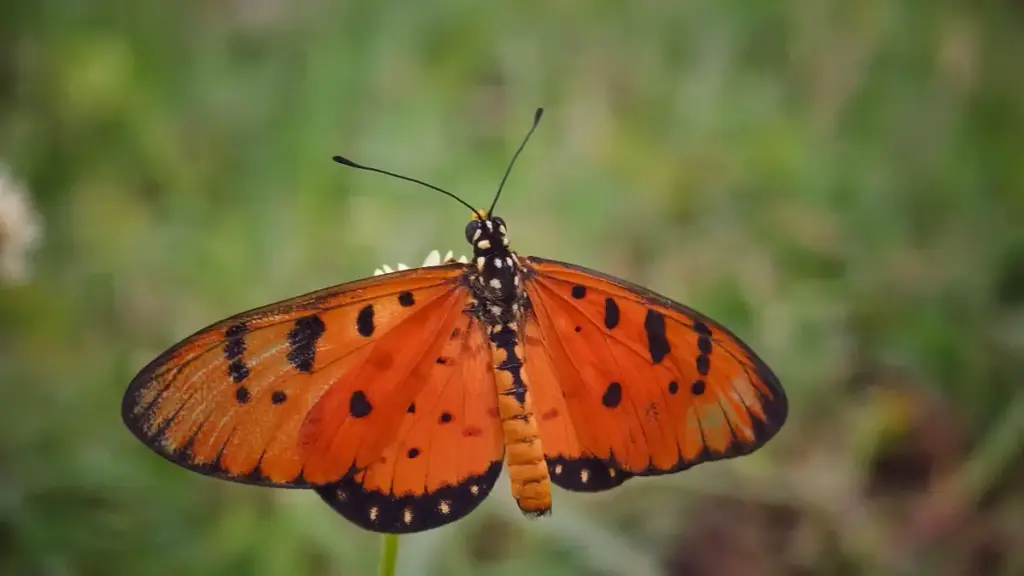 Rumbleда Кипр брендери менен байланыштырып, алардын буюмдарын стилизациялоо үчүн практикалык план: Outreach, контент түрү, контракттин сунуштары жана локалдык тактика.