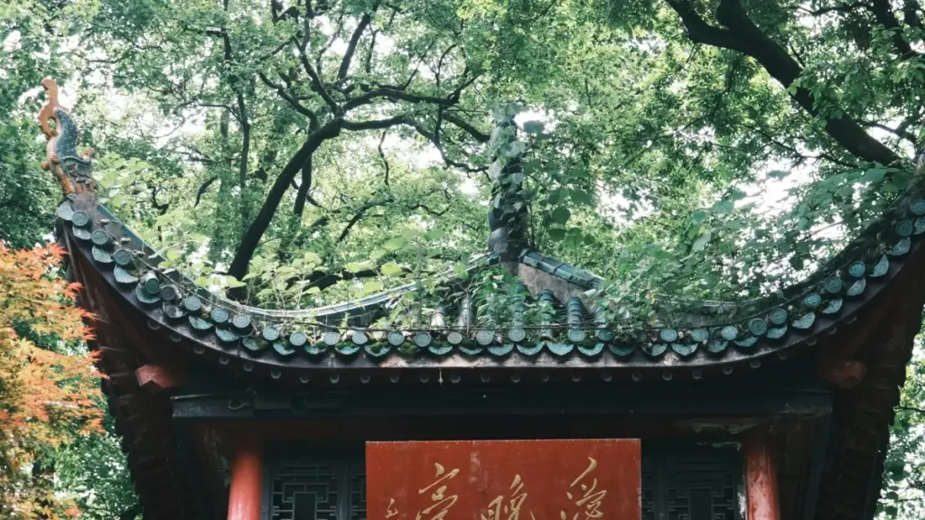 Threadsтагы Communities функциясын колдонуп, Чехиядагы бренддер менен байланышты куруу, локалдаштырылган контент түзүү жана рыноктук стратегияларды ишке ашыруу боюнча практикалык кеңештер.