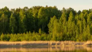 Аргентинадагы SoundCloud жаратуучуларын Кыргызстандан брендинг жана фитнес-челленджтер үчүн кантип тапса болот: практикалык ыкмалар, платформа стратегиялары жана эрежелер.