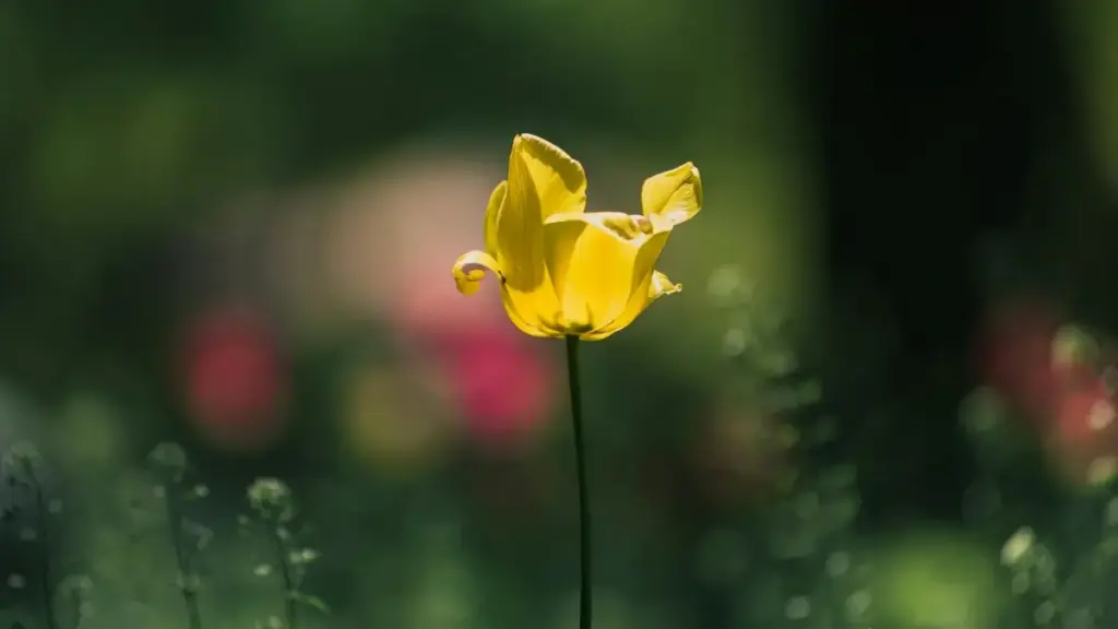 Clubhouse аркылуу Шри-Ланка бренддерине кантип жетүү, конкреттүү outreach ыкмалары, мисалдар жана 2025-жылдагы тренддер — practical жана жергиликтүү кеңештер.