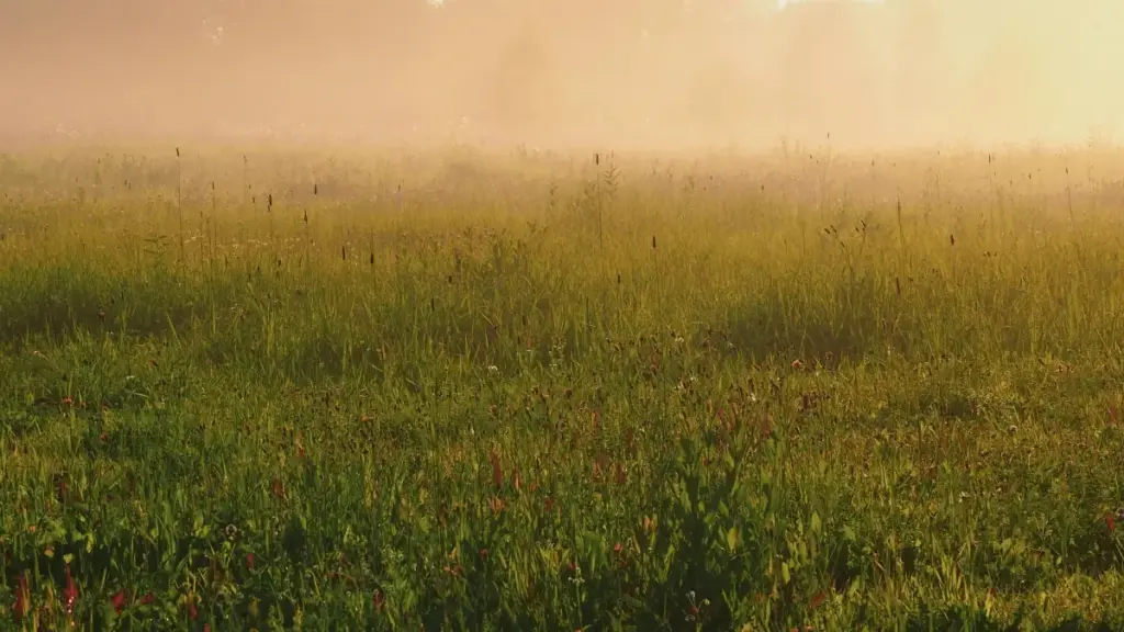 Грузиядагы Pinterest креаторлорун кантип таап, тартылган аудиторияны лиддерге айландырыш керек — практикалык ыкмалар, инструменттер жана локалдык тенденциялар.