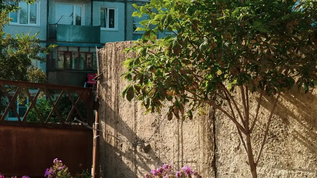 Kyrgyzстандык креаторлор үчүн: Mexicoдагы брендерге eBay аркылуу кантип жетип, акылы төлөнүүчү спонсорлуктарды кандай камсыздоого болот — практикалык, чындыкка таянган кеңештер.