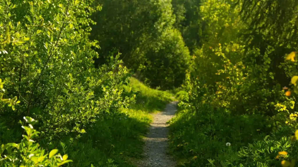 Twitchте Португалиялык бренддер менен иштешип, медиа-китке бедел кошуу үчүн практикалык ыкмалар, жерде же онлайнда колдонулуучу сценарийлер жана 2025 тенденциялары.