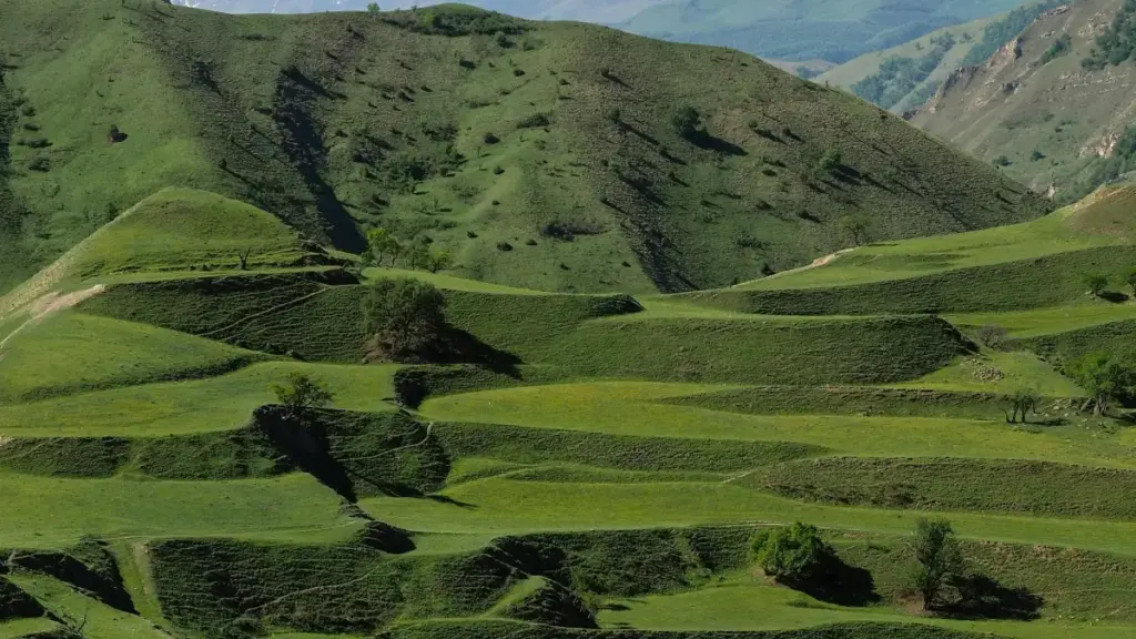 Telegram аркылуу Узбекистан бренддери менен байланышка кирүү, follow-up контент жасоо жана фанаттарды активдештирүү боюнча практикалык жогорулатмалар жана мисалдар.