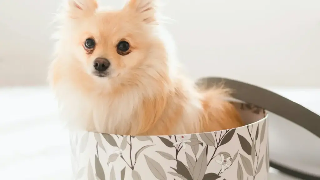 Аргентиналык Pinterest креаторлорун макияж туториялары үчүн табуунун практикасы: каяктан издөөгө, кандай сүйлөшүү жүргүзүүгө жана кайсы метрикаларды карап тандоого керек экенин так жана жергиликтүү тилде түшүндүрөм.