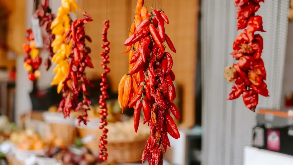 Kyrgyzстандык креатор үчүн практикалык жол-жоболор — Mojда Түркия бренддери менен giveaway/коллаб үчүн байланышын түзүү, pitch шаблондору жана локалдык тактика.