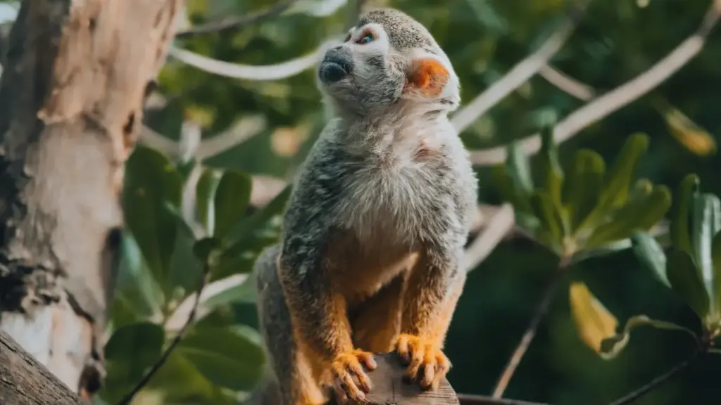 Кыргызстандагы креаторлорго практикалык жол-жоболор: Армения бренддерине WhatsAppтан жетүү, шаблондуу сүйлөмдөр, жоопту күтүүнүн тактикасы жана коопсуздук эскертүүлөрү.