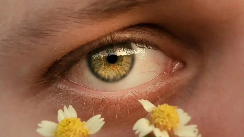 Snapchat аркылуу Хорватиялыктарга кантип жакындап, бренд менен эксклюзив продукт-бандлдарды биргеликте чыгарса болот — практикалык чек-лист, байланышты көздөй турган шаблондор жана рыноктук тактикалар.