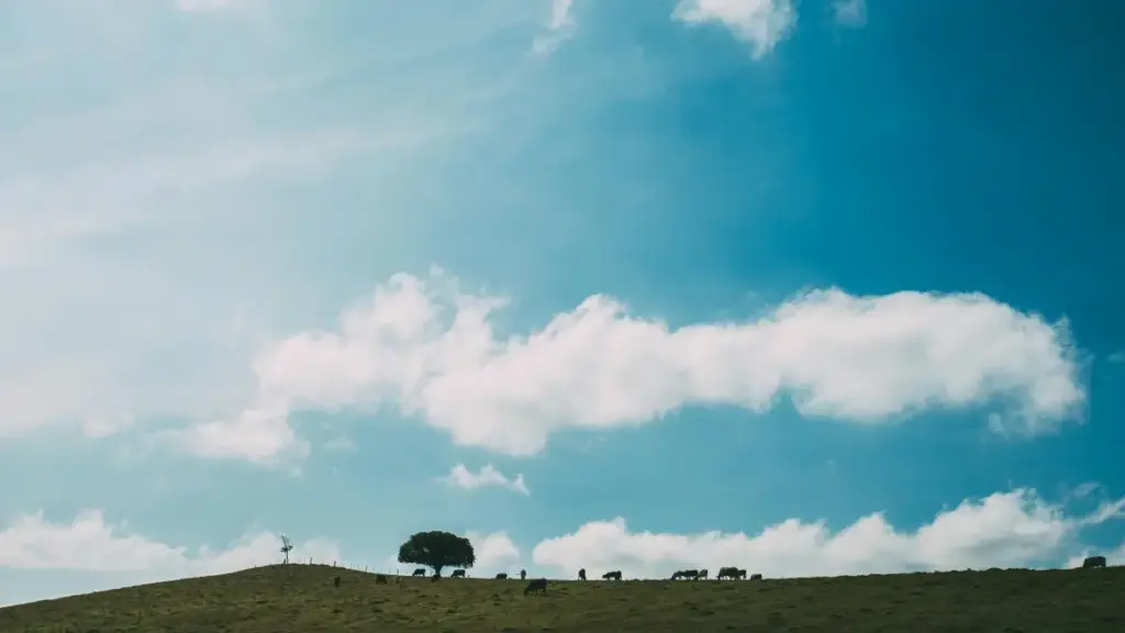 Кыргыз креаторуна практикалык жол картасы: HBO Maxтагы америкалык бренддер менен байланышты түзүп, жаңы аудиторияга чыгуунун ыкмалары.