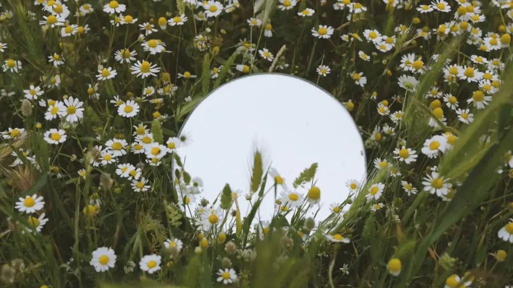 Kyrgyzстандан Moj платформасында швейцариялык бренддер менен бренддик окуу видео түзүүнүн практикалык жолу: тармактык стратегия, контакт шаблондору, контент-питч жана 2025 тенденциялары.