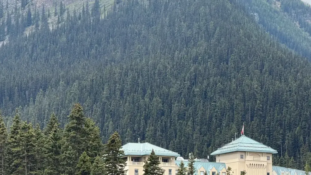 Түркия брендерине Disney Plus экосистема аркылуу кантип жетүү, локал байланыштук ыкмалар, контент форматтары жана практикалык outreach-шаблондор — Кыргызстандагы креаторлор үчүн.