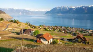 Кыргызстандык жарнамачылар үчүн практикалык гайд: Австралиянын Etsy креаторлорун кантип табып, катышууга негизделген кампанияларды ийгиликтүү баштоо.