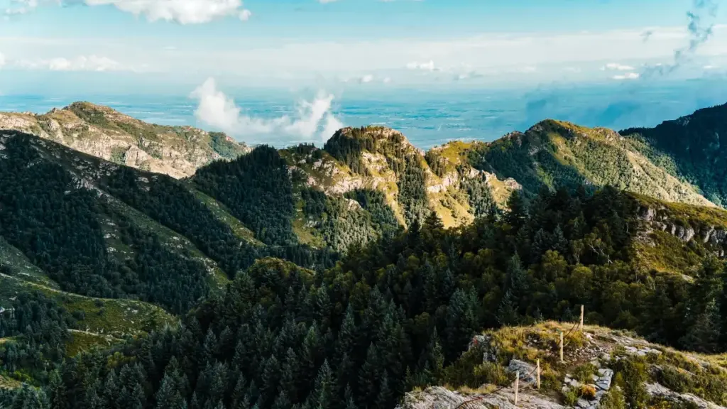 vkontakte аркылуу Кипрдеги бренддерге кантип байланышып, акысыз продукт үлгүлөрүн алуу ыкмалары — практикалык кеңештер, шаблондор жана локалдык инсайттар.