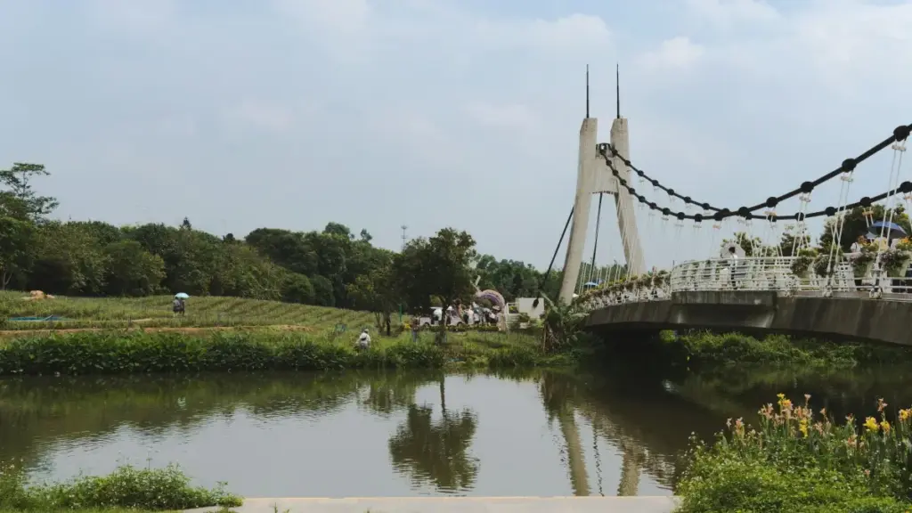 Саудияда HBO Max ойной турган креаторлорду кантип таап, фитнес-аппка трафик жөнөтүү боюнча практикалык, рыноктук жана SEO оптималдаштырылган жолдору.