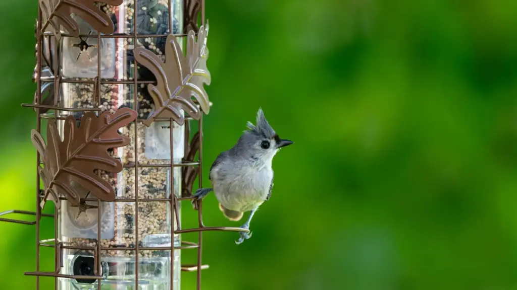 Перудагы Netflix менен иштеген же сериалар айланасында контент кылган креаторлорду кыргыз маркетологдору үчүн табуу, тандоо жана социалдык жоопкерчиликтүү кампанияларды уюштуруу боюнча практикалык гайд.