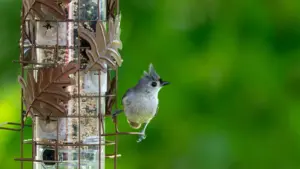 Перудагы Netflix менен иштеген же сериалар айланасында контент кылган креаторлорду кыргыз маркетологдору үчүн табуу, тандоо жана социалдык жоопкерчиликтүү кампанияларды уюштуруу боюнча практикалык гайд.