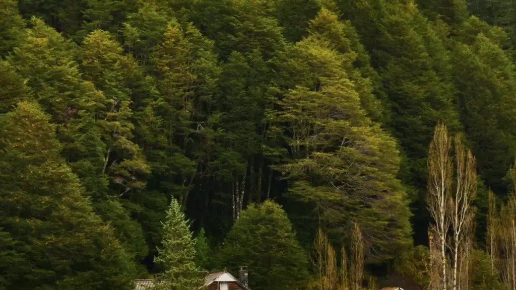 Пуэрто-Рико тикиток креаторлорун ишенимдүү табуу, жергиликтүү аудиторияга жетүү жана мыйзамдуу disclosure талаптарын сактоо боюнча практикалык, Кыргызстан жарнамачылары үчүн колдонмо.