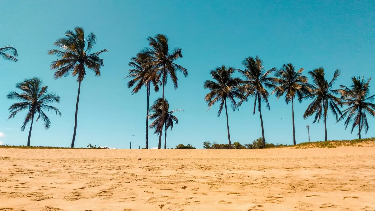 Tanzaniyadagi Shopee креаторлорун кантип табуу: шаардын гидин локалдар менен