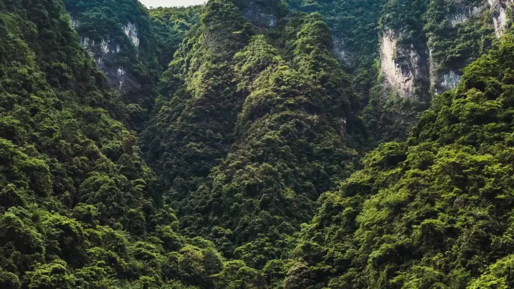 Уругвайдагы Snapchat креаторлорду табуу жана биргелешкен маркетинг кампанияларын жасоо боюнча практикалык ыкмалар, жергиликтүү тренддер жана Snap Inc. форматтары жөнүндө аналитика.