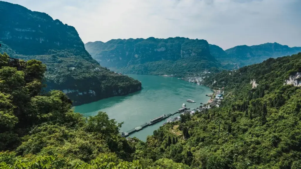 Италиянын LinkedIn креаторлору менен livestream кампания уюштуруу үчүн так жол-жобо, жергиликтүү тренддер, жана практикалык чекиттер.