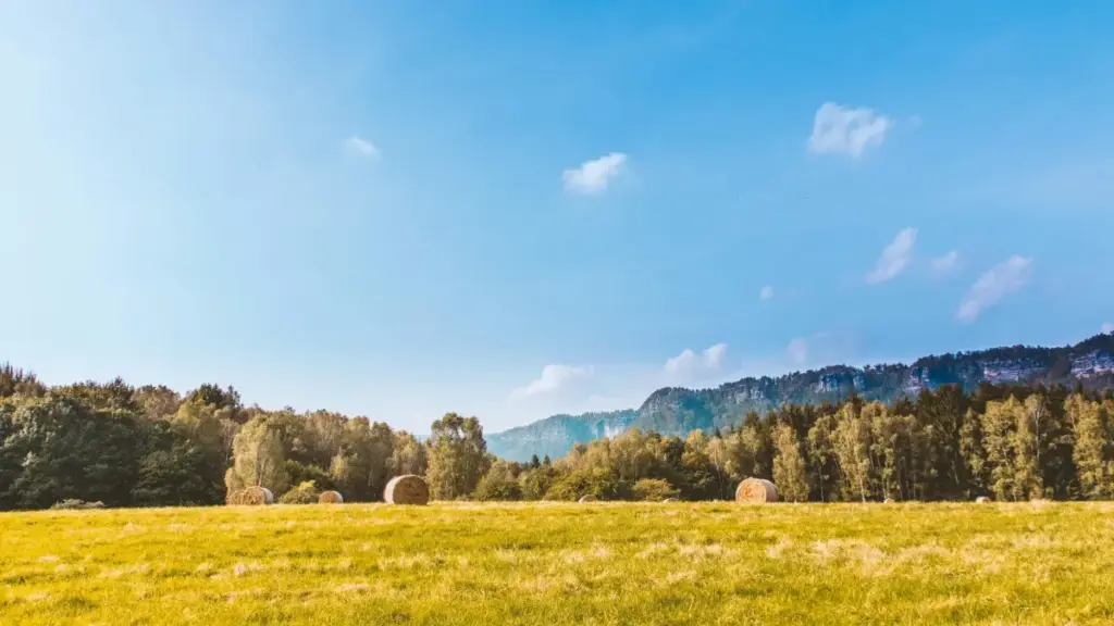 Pinterest üzerinden Венгриянын cosmetic брендери менен байланышып, тест жана review алуу боюнча практикалык жол-жоболор — локалдык инсайттар жана 2026-жылкы трендлер менен.