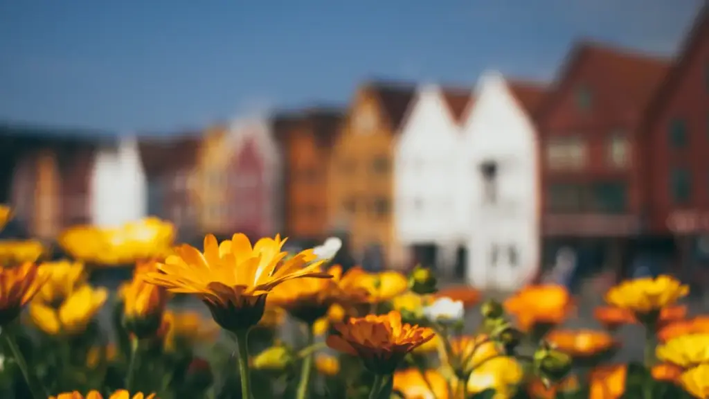 Кыргызстандык рекламодор үчүн практикалык колдонмо: Узбекистондеги Viber креаторлорун таап, жаңы саламаттык кошумчаларын сунуштоонун ыкмалары, тобокелдери жана операциялык чекиттери.