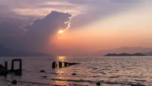 Ирактагы бренддерди Viberден таап, фитнес-браной контент үчүн сунушту туура бериштин жөнөкөй, иштөөчү жолу.