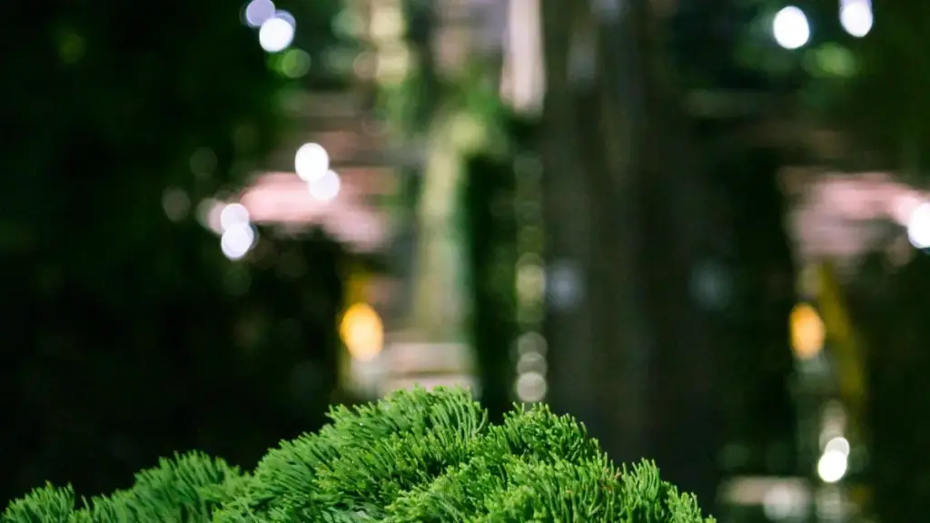 Монголиялык бренддерге ShareChat аркылуу чыгып, unboxing жана testimonial клиптерди тартуу үчүн кыска, иштей турган жол картасы.